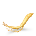 Ginsengextrakt