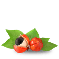 Guaranaextrakt